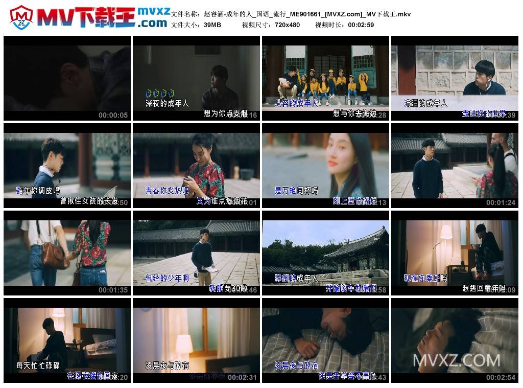 赵睿涵-成年的人_国语_流行_ME901661